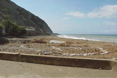 muddy beach